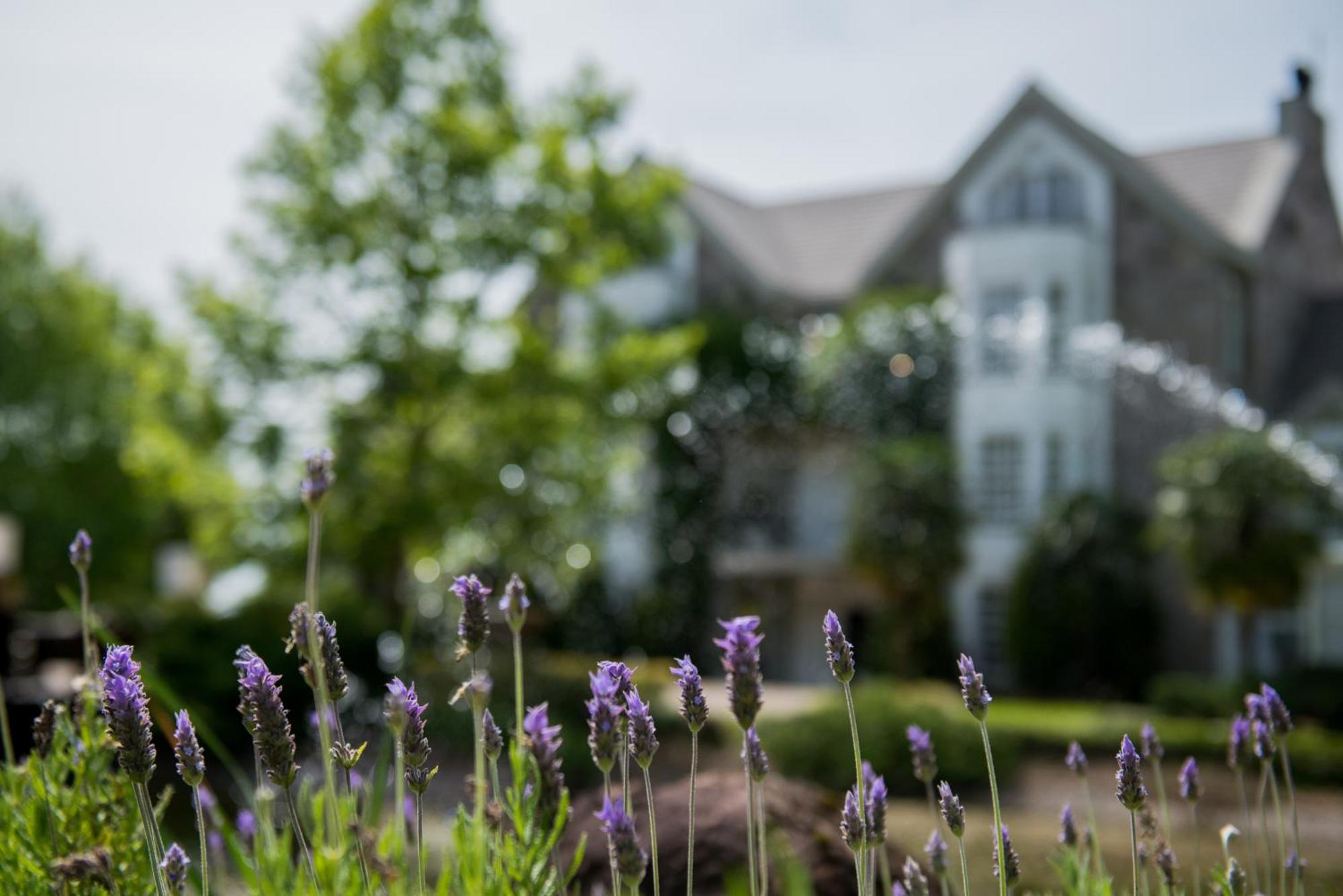 Castelo Saint Andrews Hotel Gramado Ngoại thất bức ảnh